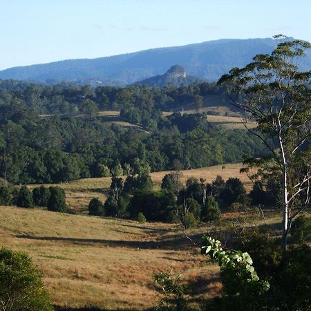 Grey Gum Lodge Nimbin Extérieur photo