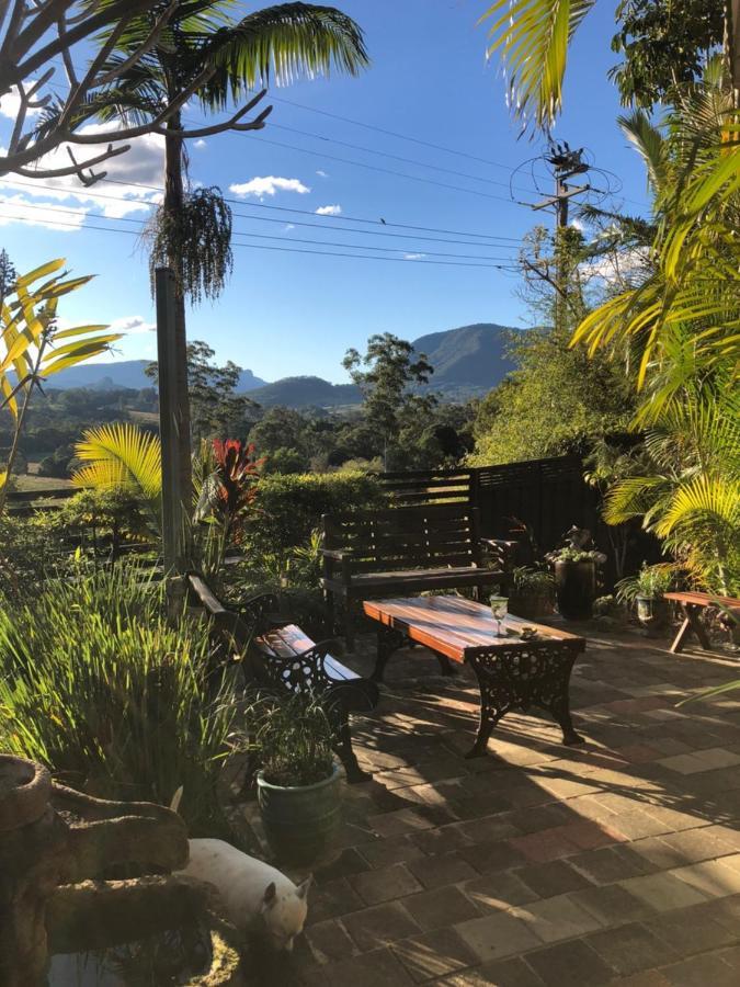 Grey Gum Lodge Nimbin Extérieur photo