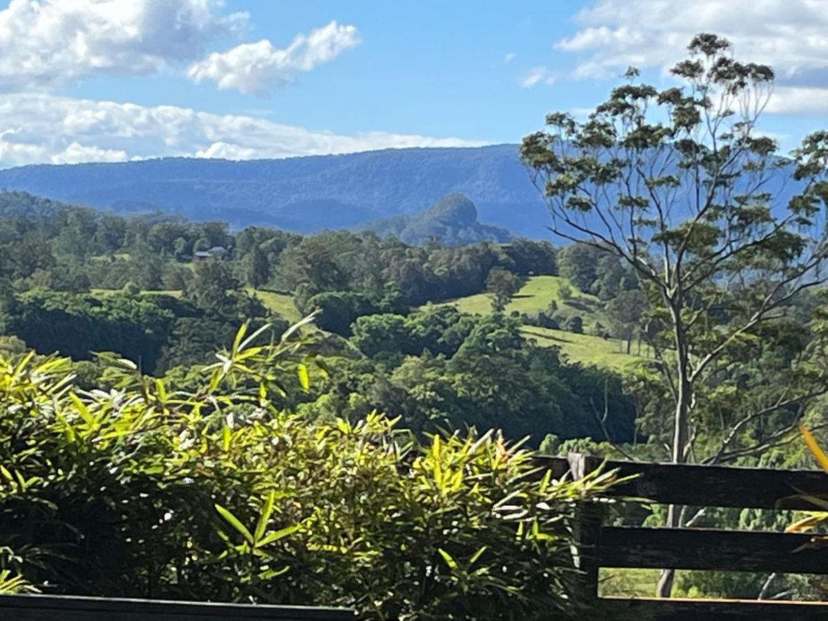 Grey Gum Lodge Nimbin Extérieur photo