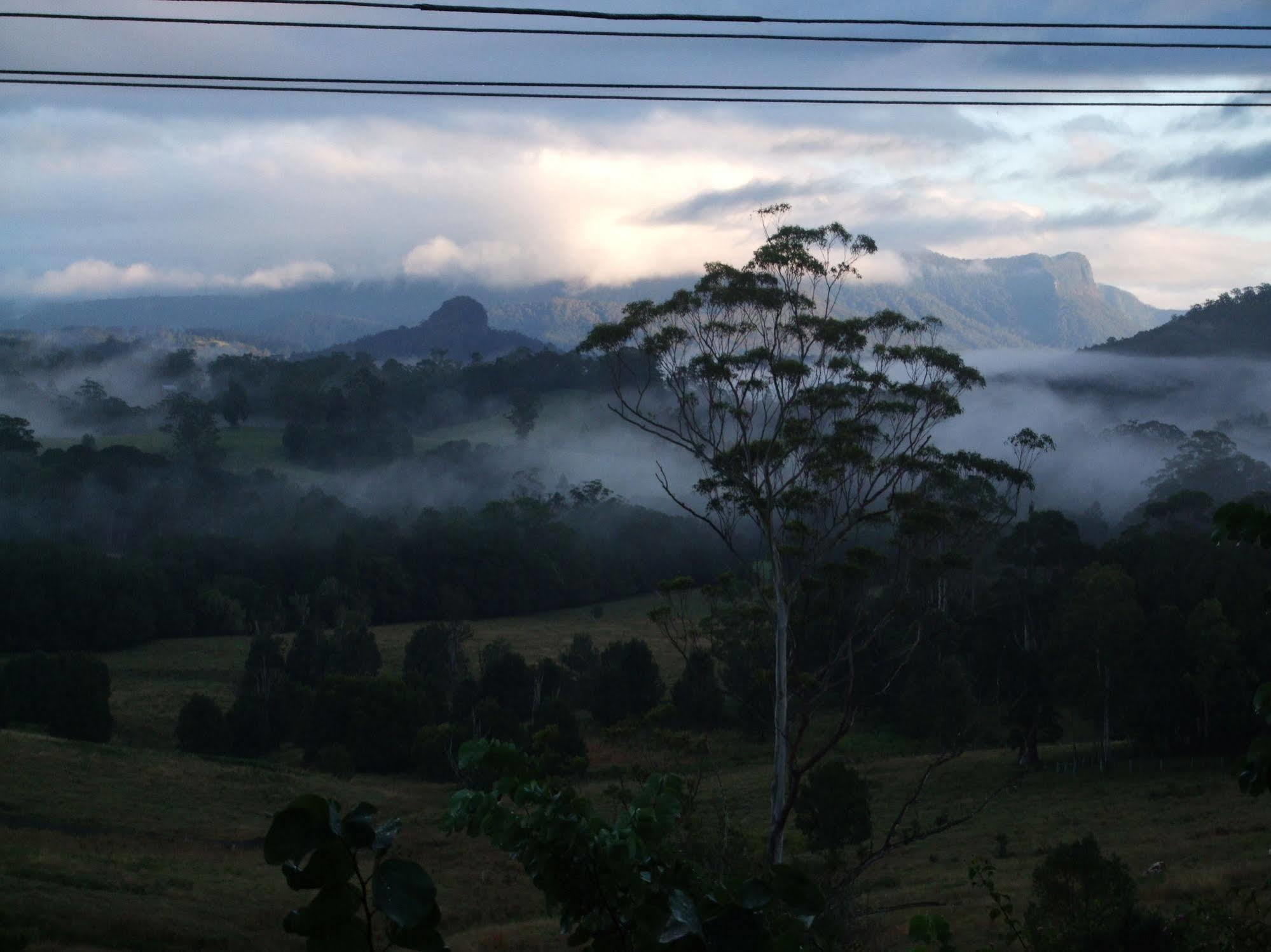 Grey Gum Lodge Nimbin Extérieur photo